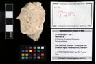 Foto (Objekt + Etikett) von Pithonoton sp.  (NHMW-GEO-2014-0194-0283)